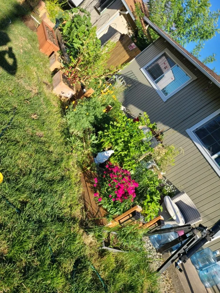 Professional landscape design in Central Point, OR - King David's Construction