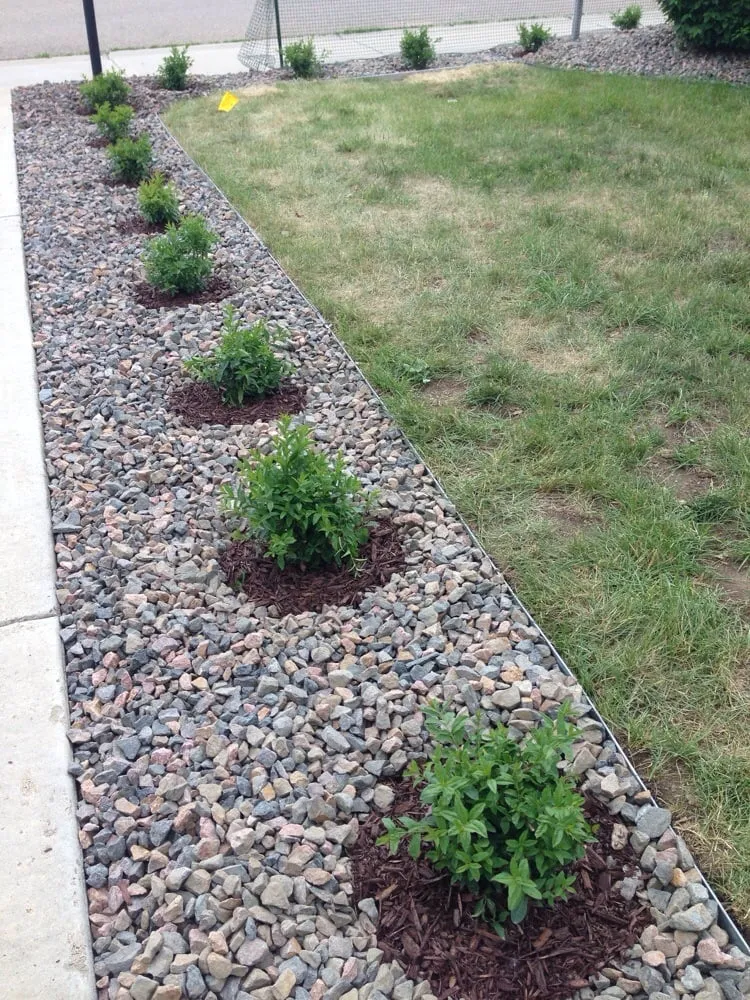 Local yard cleanup service in Longmont, CO by King Enterprises Inc