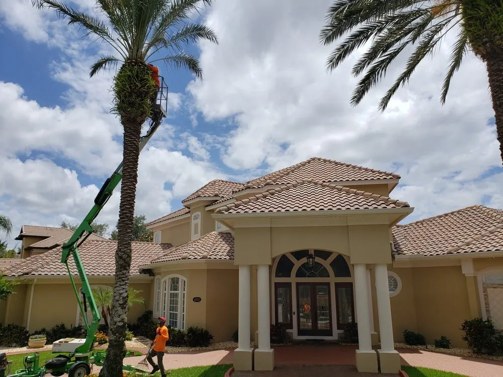 Reliable residential landscaping for year-round maintenance in Altamonte Springs, FL by King Essential Yard Services