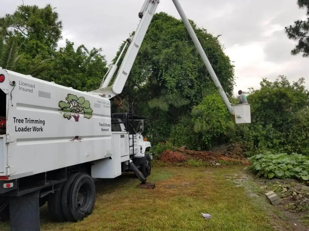 Expert lawn care service in Altamonte Springs, FL by King Essential Yard Services