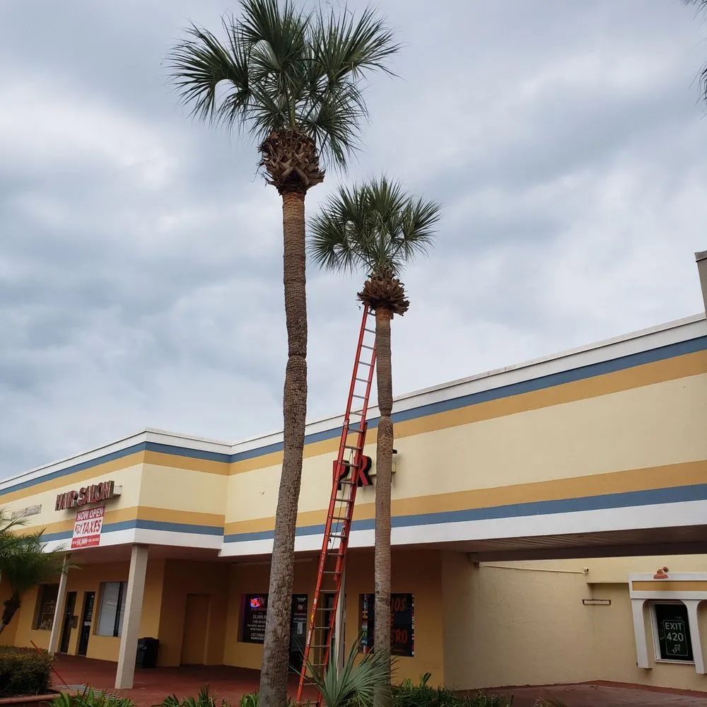 Reliable yard maintenance experts serving Altamonte Springs, FL - King Essential Yard Services