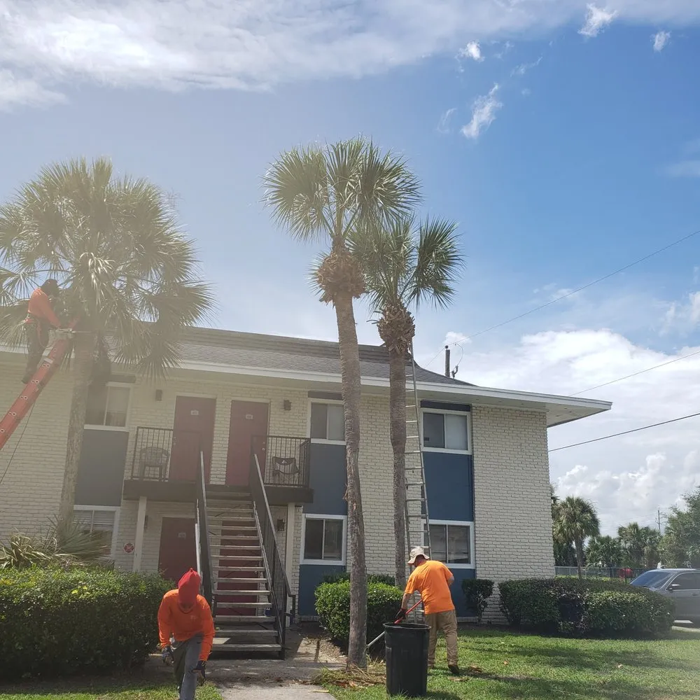 Top-rated lawn care service for outdoor upgrades across Altamonte Springs, FL - King Essential Yard Services