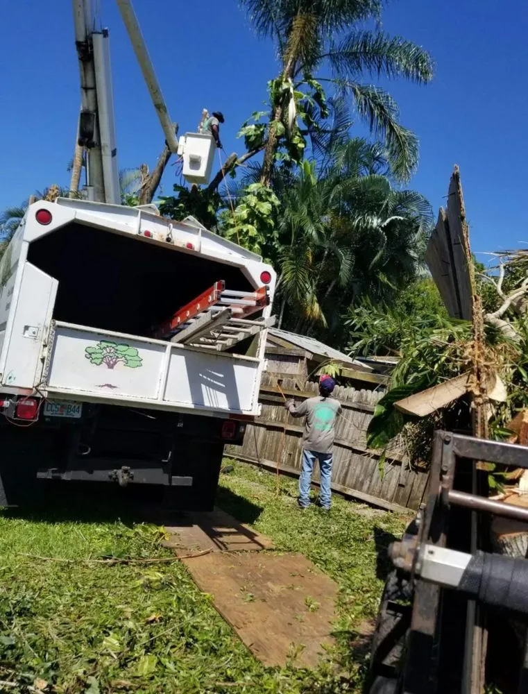 Reliable garden landscaping experts serving Altamonte Springs, FL - King Essential Yard Services