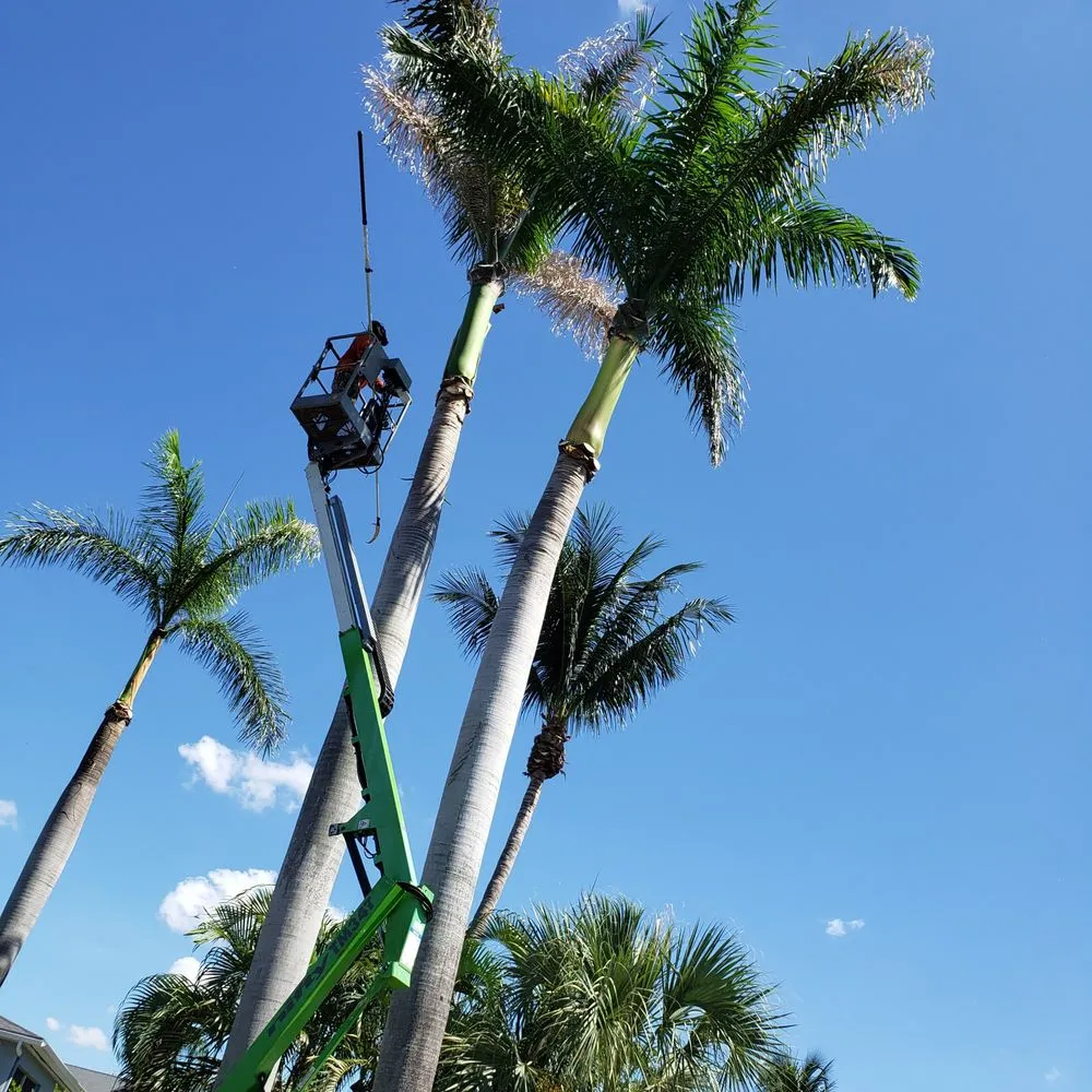 Custom lawn care service in Altamonte Springs, FL by King Essential Yard Services