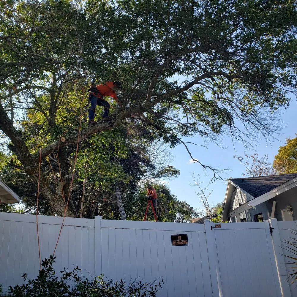 Local residential landscaping in Altamonte Springs, FL - King Essential Yard Services