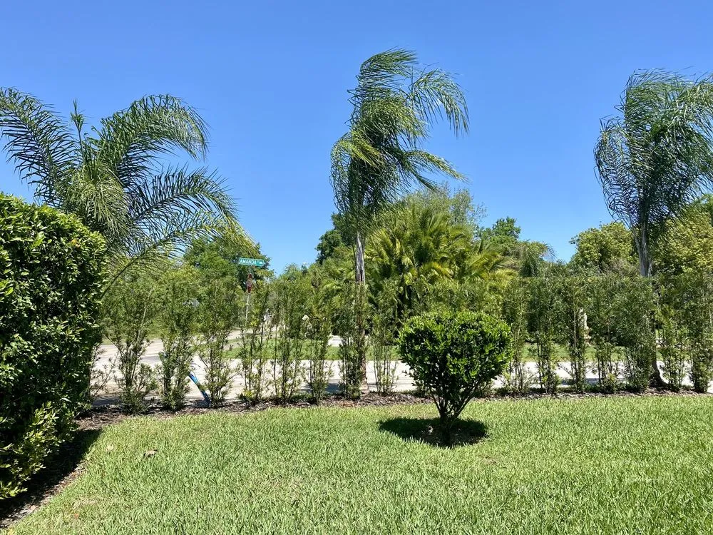 Professional landscape design for outdoor upgrades across Altamonte Springs, FL - King Essential Yard Services