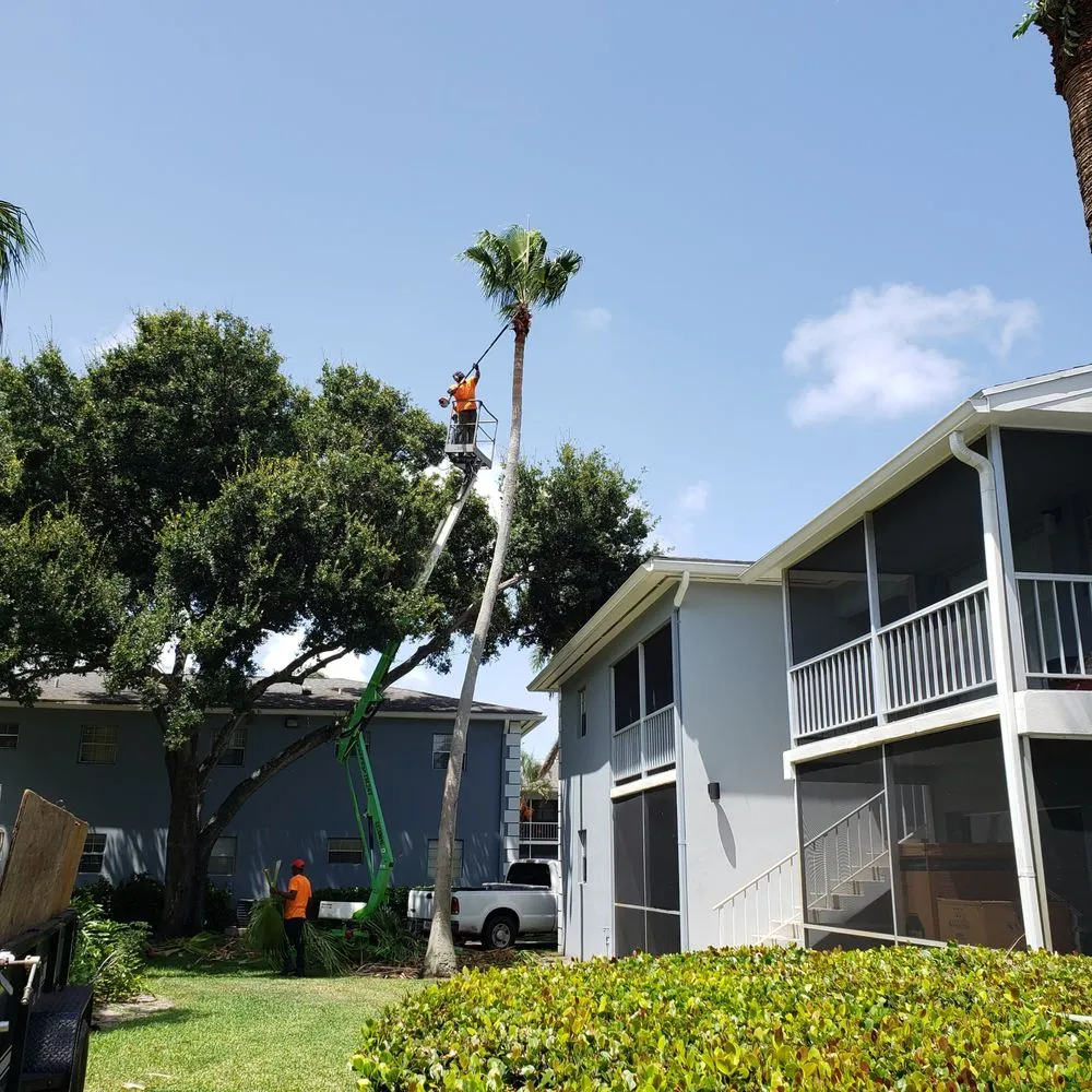 Reliable lawn care service in Altamonte Springs, FL by King Essential Yard Services