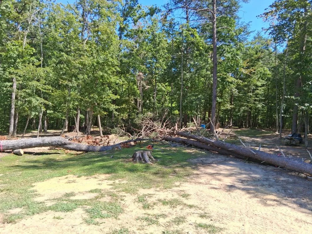 Top-rated landscaping services in Altamont, TN by King Excavation and Tree Services