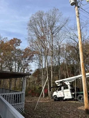 King Excavation and Tree Services