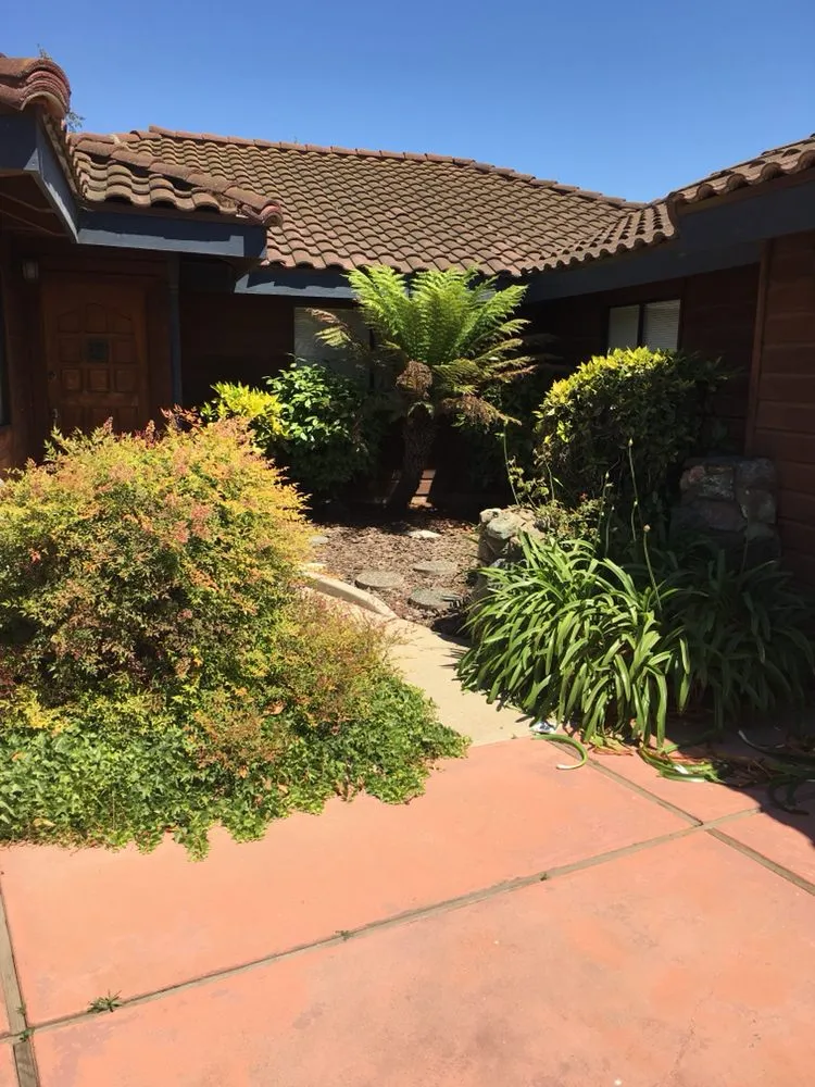 Top-rated lawn care service in Santa Maria, CA by King Garden Landscaping