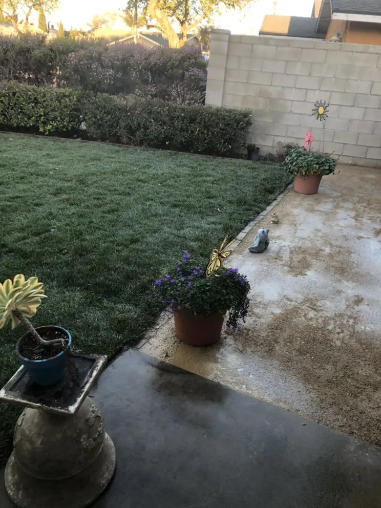 Local landscape design for beautiful yards in Santa Maria, CA by King Garden Landscaping