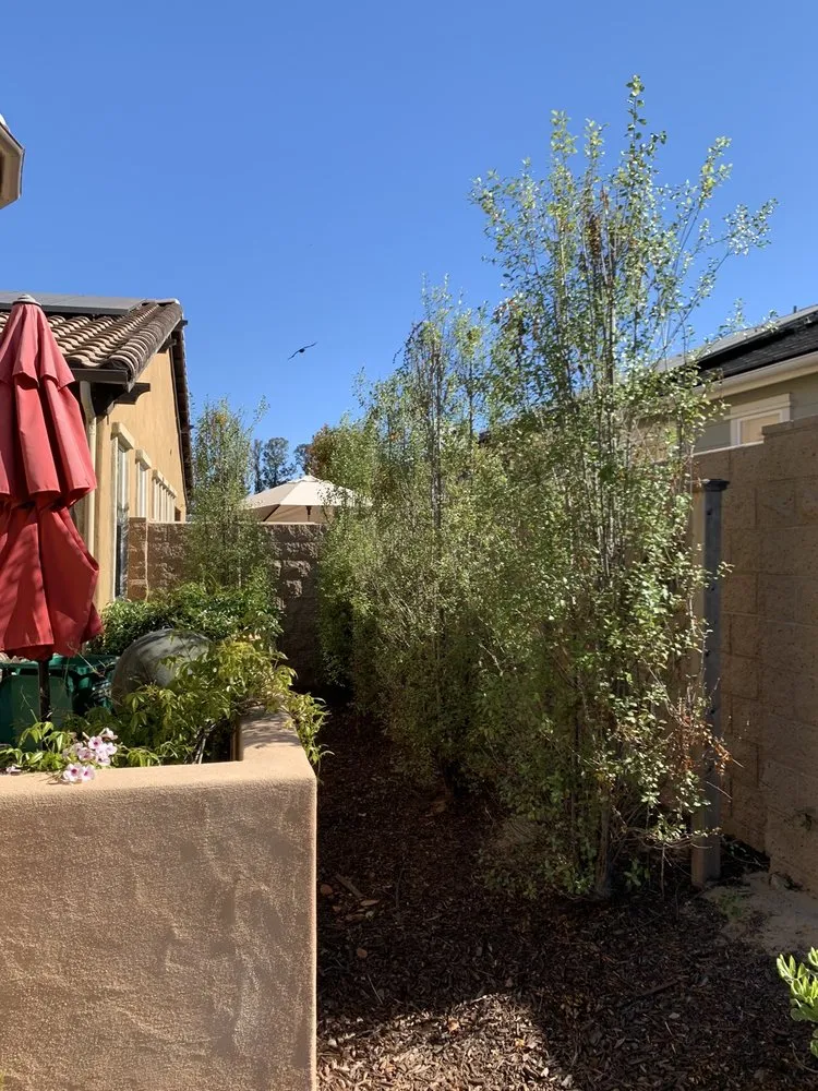 Custom landscape installation in Santa Maria, CA - King Garden Landscaping