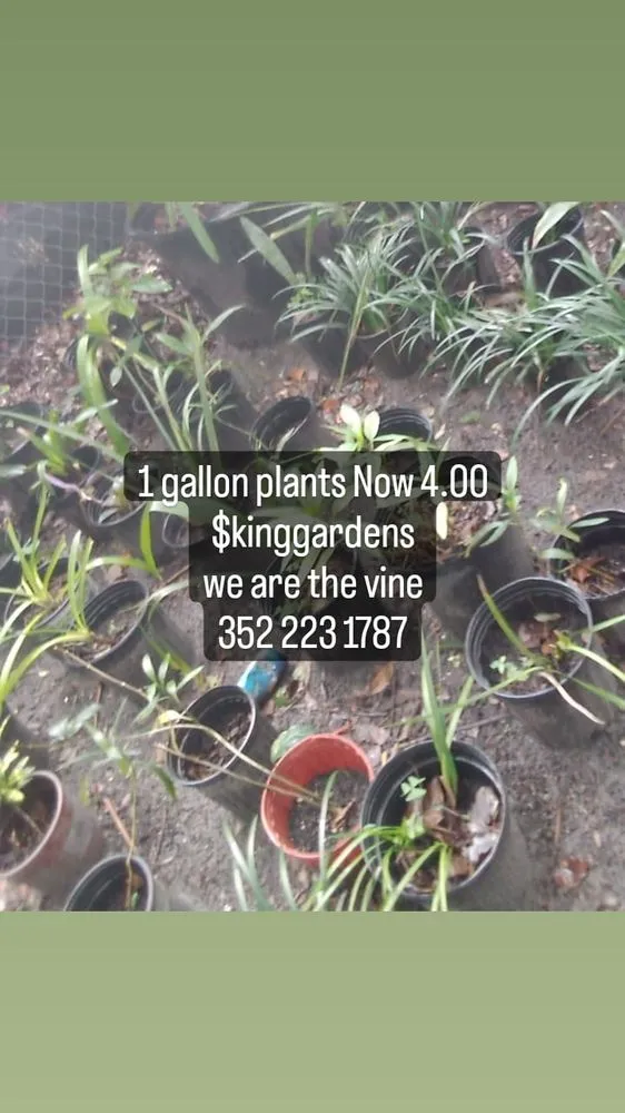 Expert garden landscaping for year-round maintenance in Ocoee, FL by King Gardens