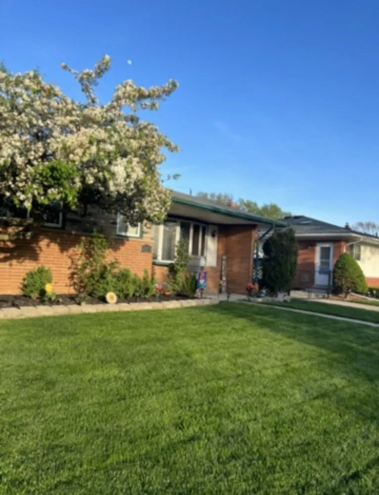 Affordable lawn mowing service near you in Fraser, MI by King Green