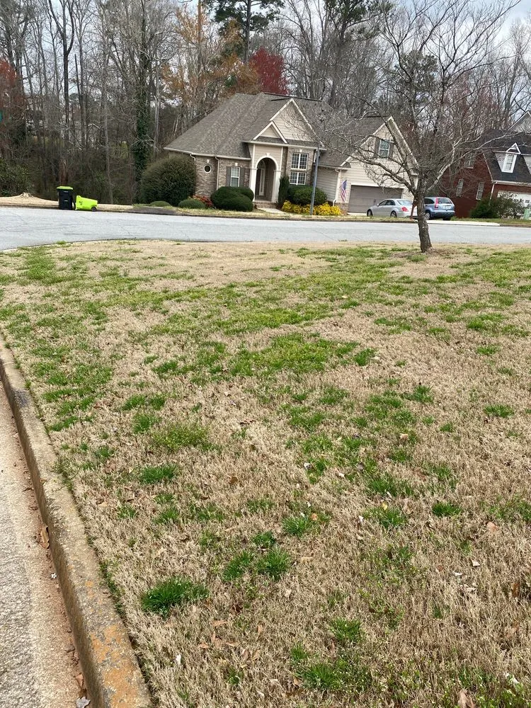 Trusted landscape installation experts serving Gainesville, GA - King Green