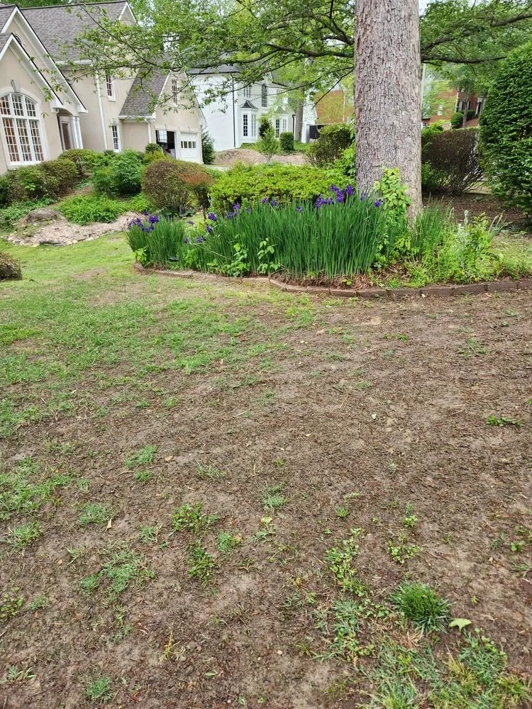 Local landscaping services for residential properties across Gainesville, GA - King Green