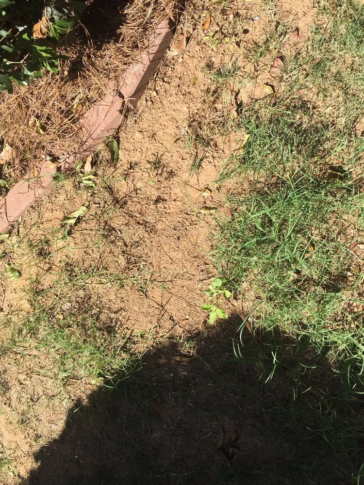 Trusted yard maintenance in Gainesville, GA by King Green