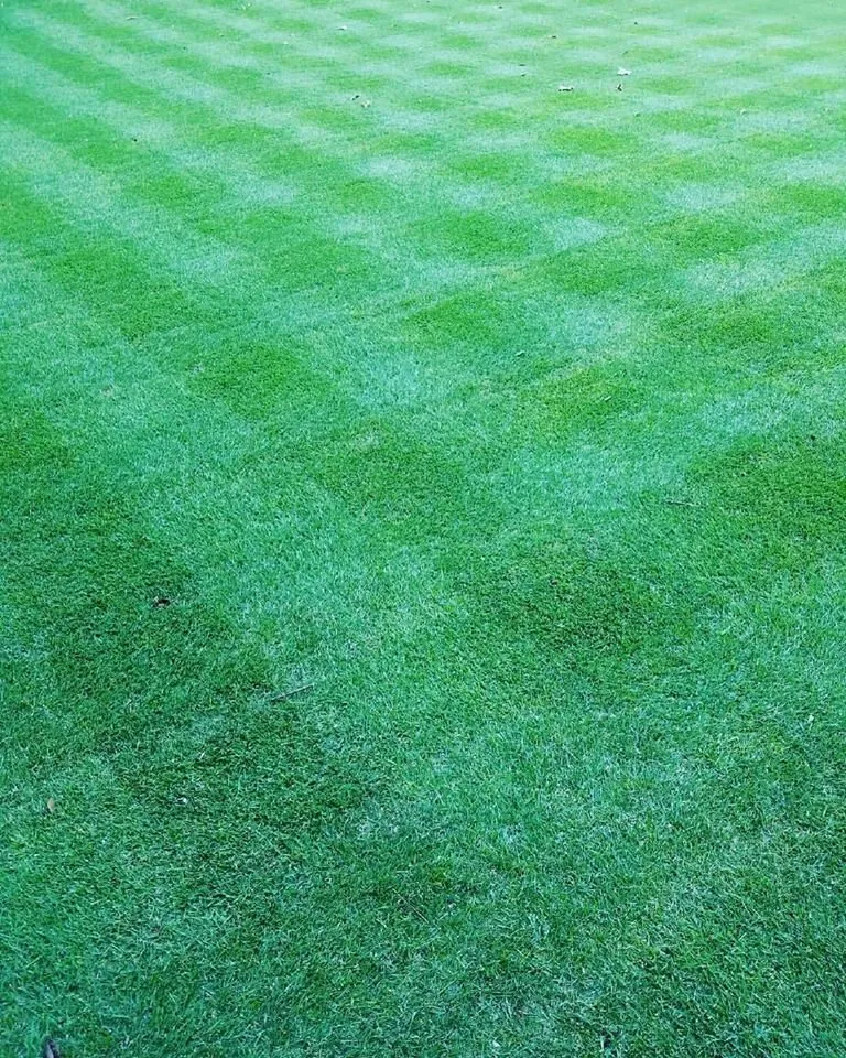 Custom garden landscaping for beautiful yards in Gainesville, GA by King Green