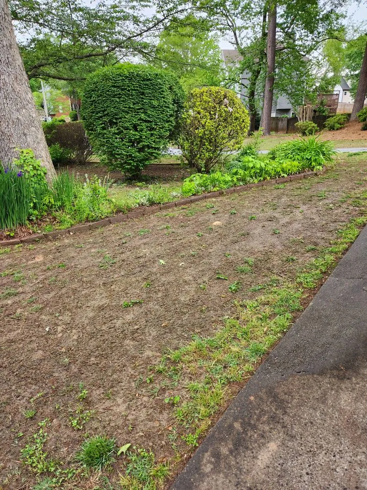 Local yard maintenance experts serving Gainesville, GA - King Green