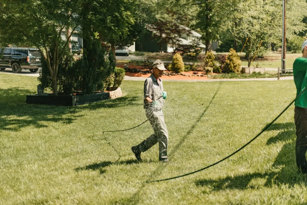 Reliable landscape installation in Norcross, GA by King Green