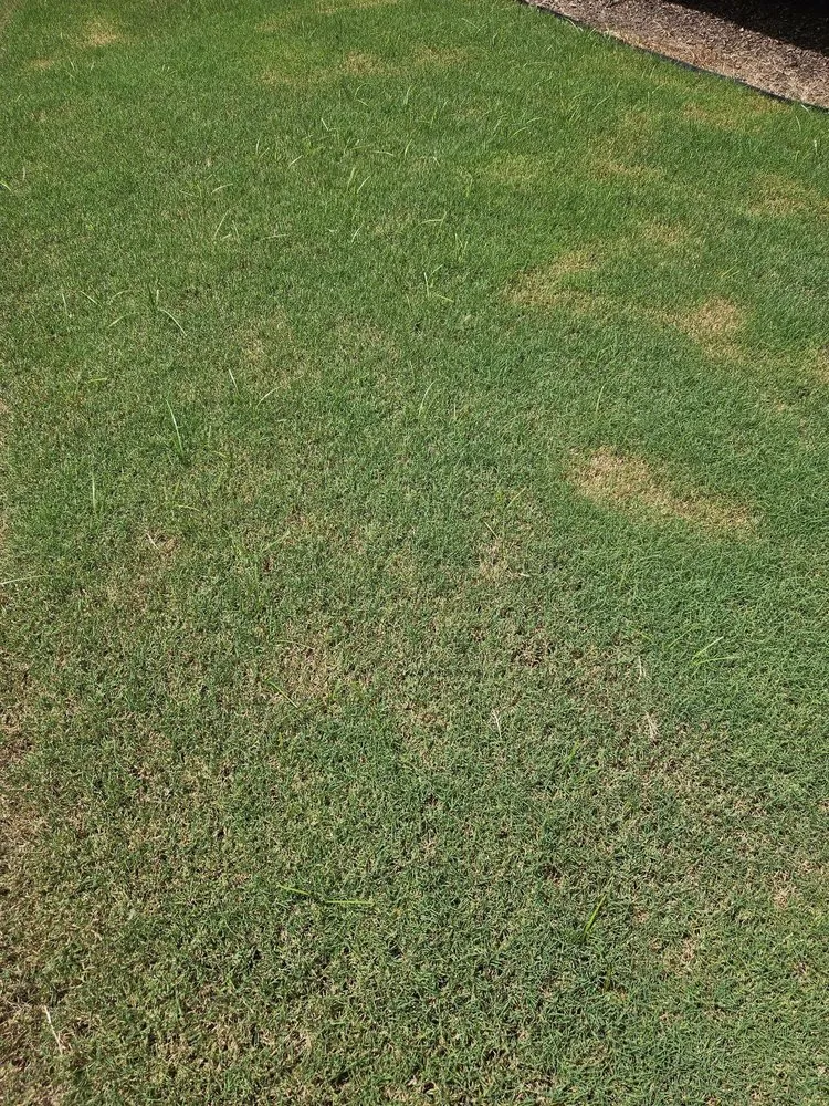 Local residential landscaping experts serving Norcross, GA - King Green