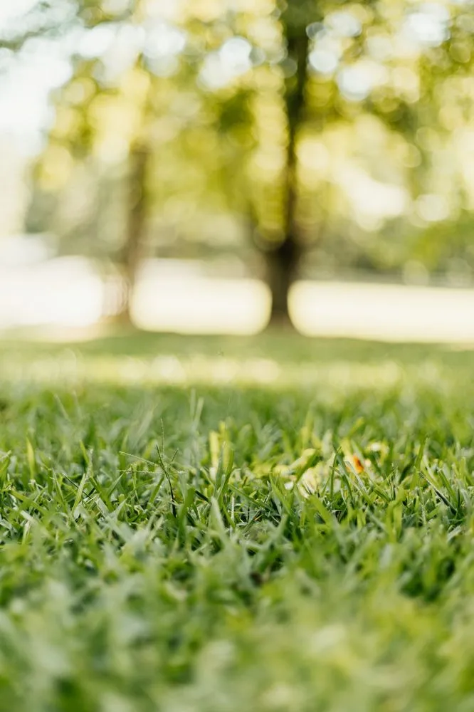 Expert garden landscaping for residential properties across Norcross, GA - King Green