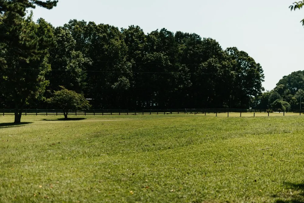 Reliable garden landscaping experts serving Norcross, GA - King Green