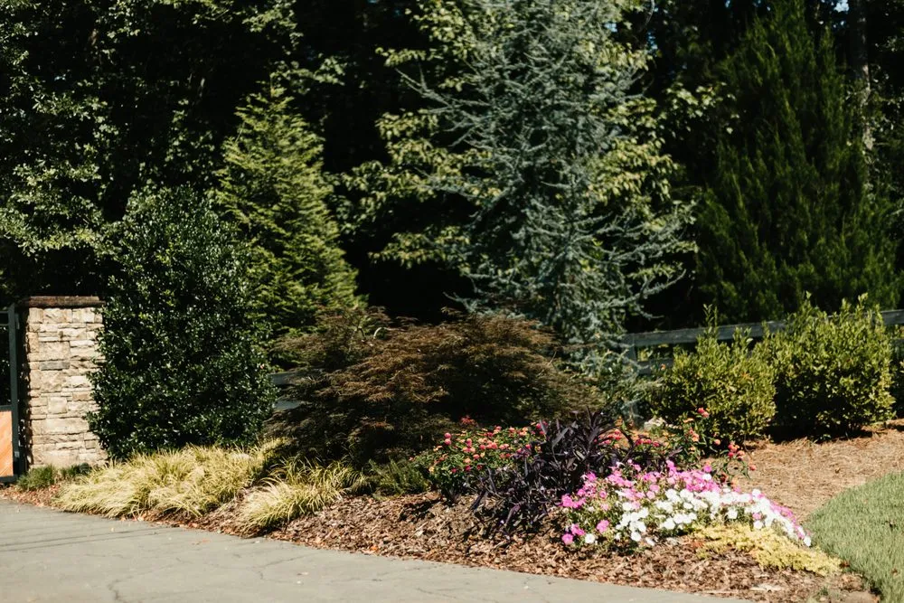 Trusted yard cleanup service in Norcross, GA by King Green