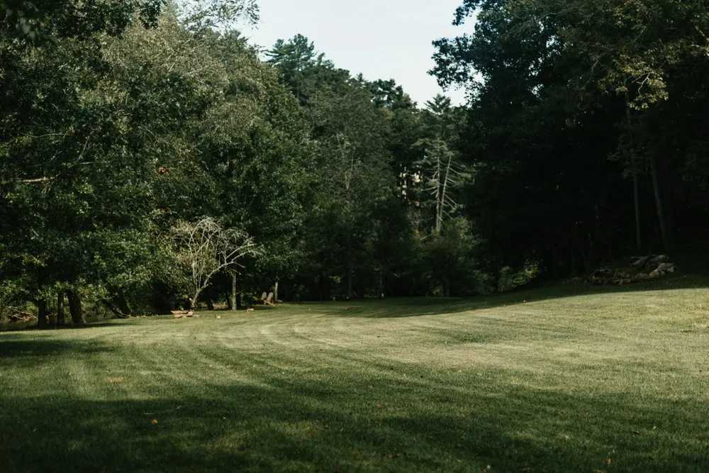 Expert garden landscaping in Peachtree City, GA by King Green