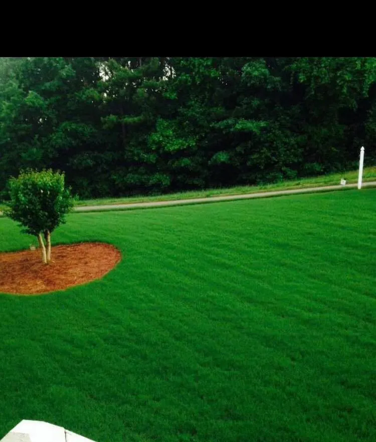 Top-rated landscape design in Peachtree City, GA - King Green