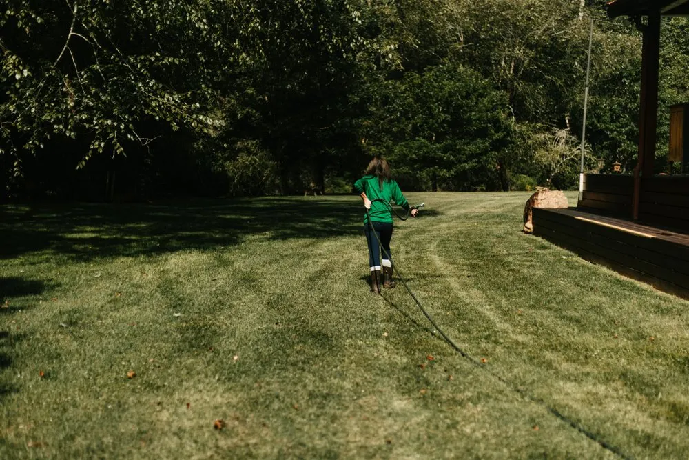 Expert lawn care service for year-round maintenance in Peachtree City, GA by King Green