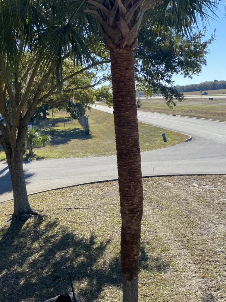 Expert outdoor landscaping experts serving Gainesville, FL - King Hines Lawncare