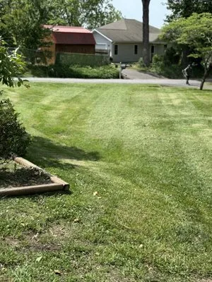 King Killy’s Landscaping And Lawn Care Logo