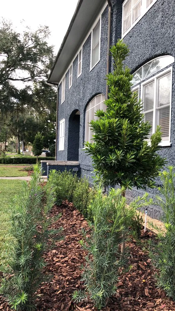 Trusted residential landscaping in Apopka, FL - King Kutz Landscaping
