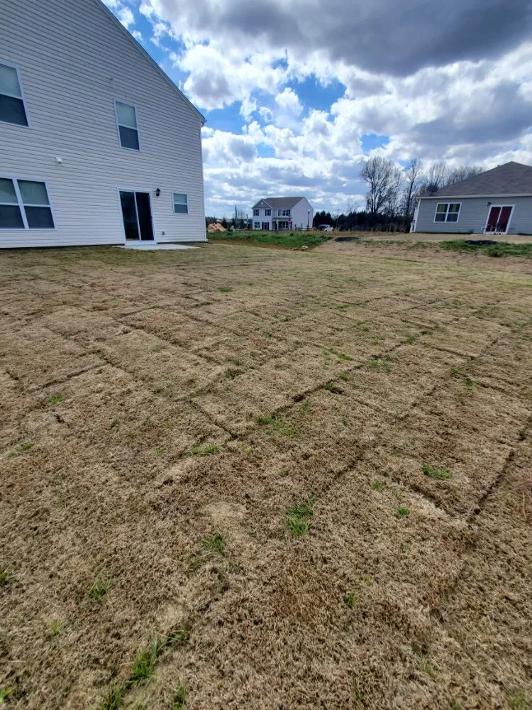 Top-rated landscaping services experts serving Liberty, SC - King Kutz