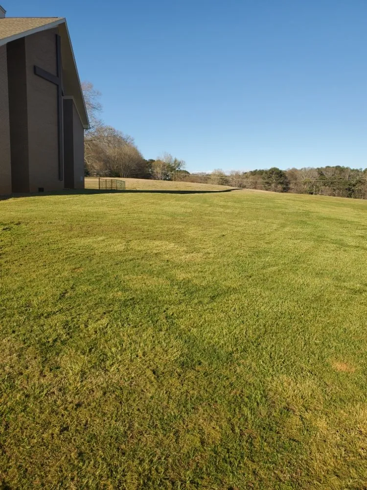 Top-rated yard cleanup service in Liberty, SC by King Kutz