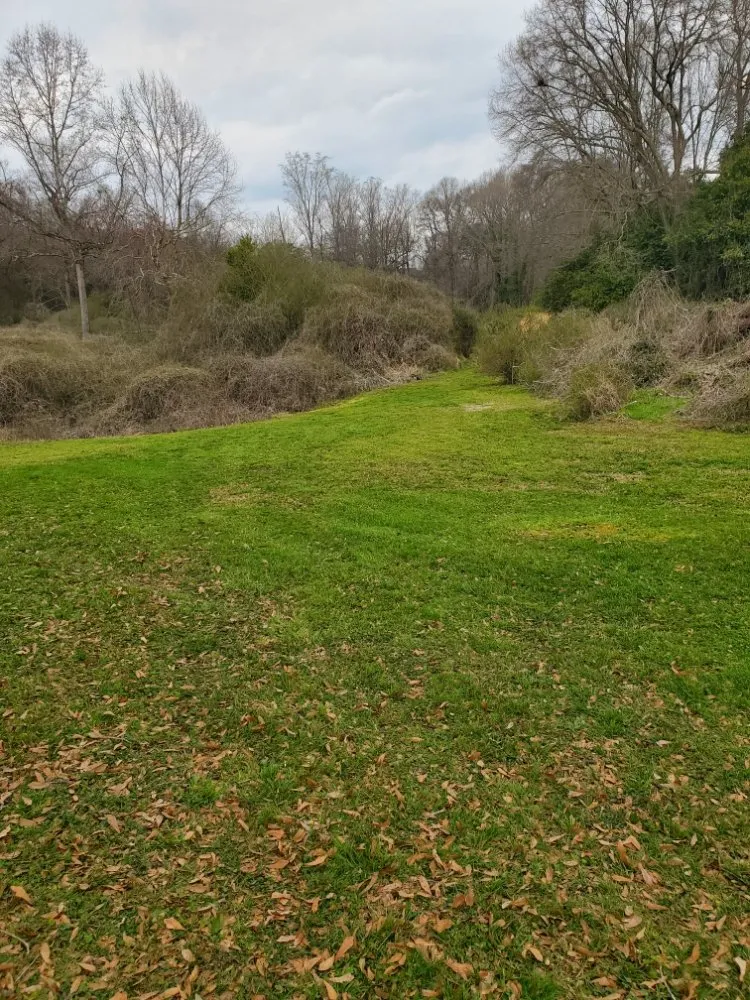 Top-rated landscape design experts serving Liberty, SC - King Kutz