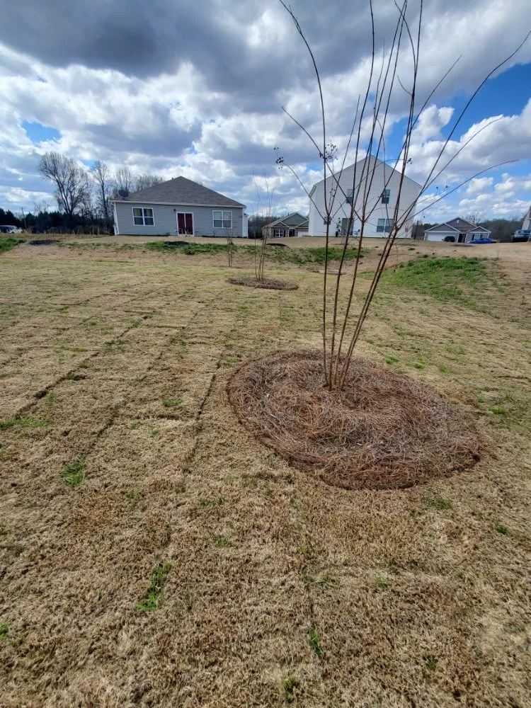 Expert lawn mowing service with custom design in Liberty, SC by King Kutz