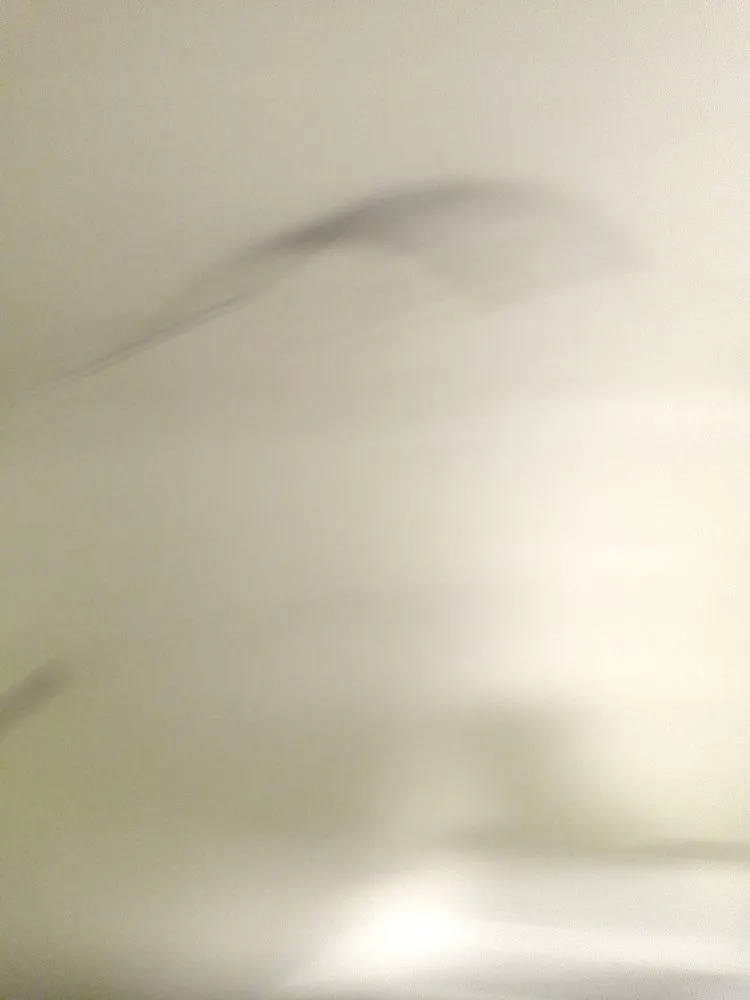 Local residential landscaping experts serving Hillcrest Heights, MD - King Lamar's Mowing Yards & Cleaning Services