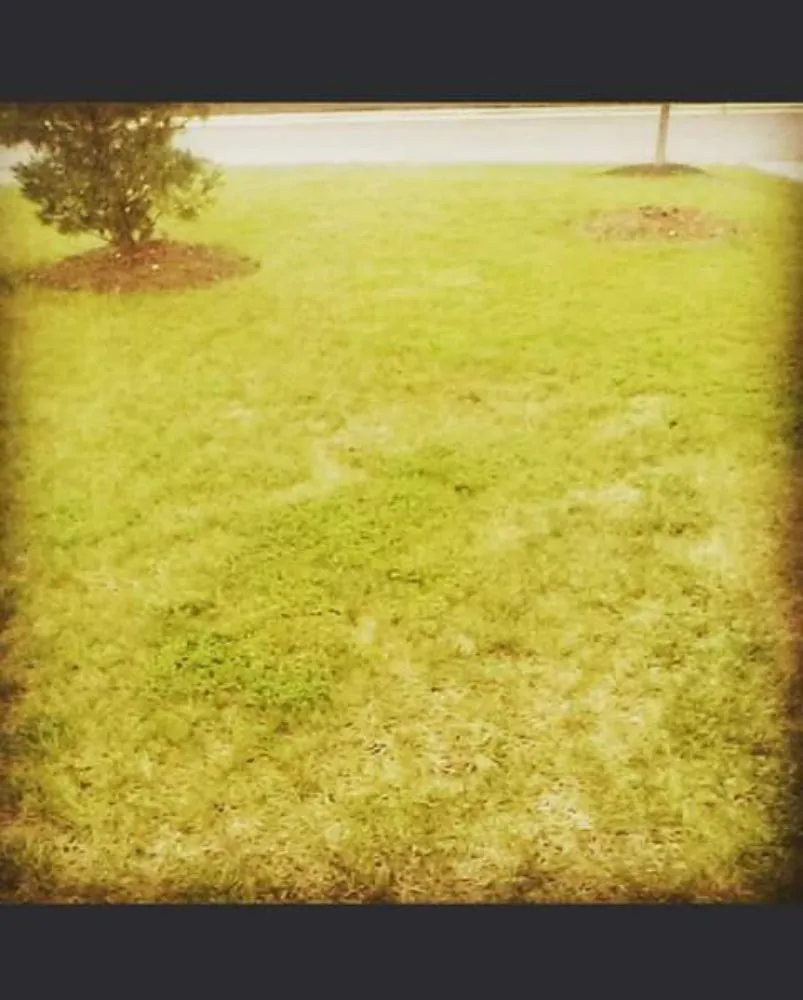 Top-rated yard cleanup service for beautiful yards in Hillcrest Heights, MD by King Lamar's Mowing Yards & Cleaning Services