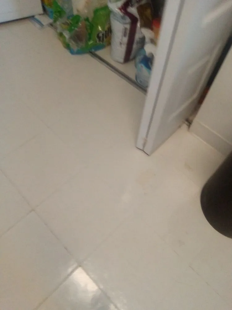 Custom lawn mowing service experts serving Hillcrest Heights, MD - King Lamar's Mowing Yards & Cleaning Services