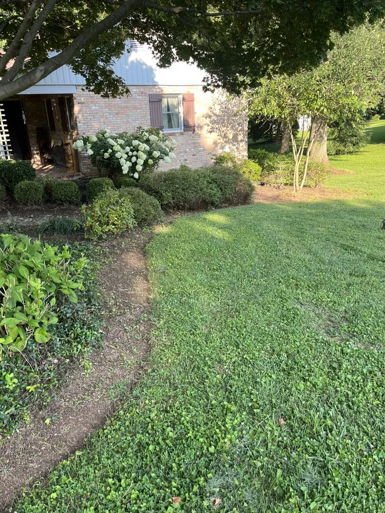 Local lawn care service in Bel Air, MD by King Landscape