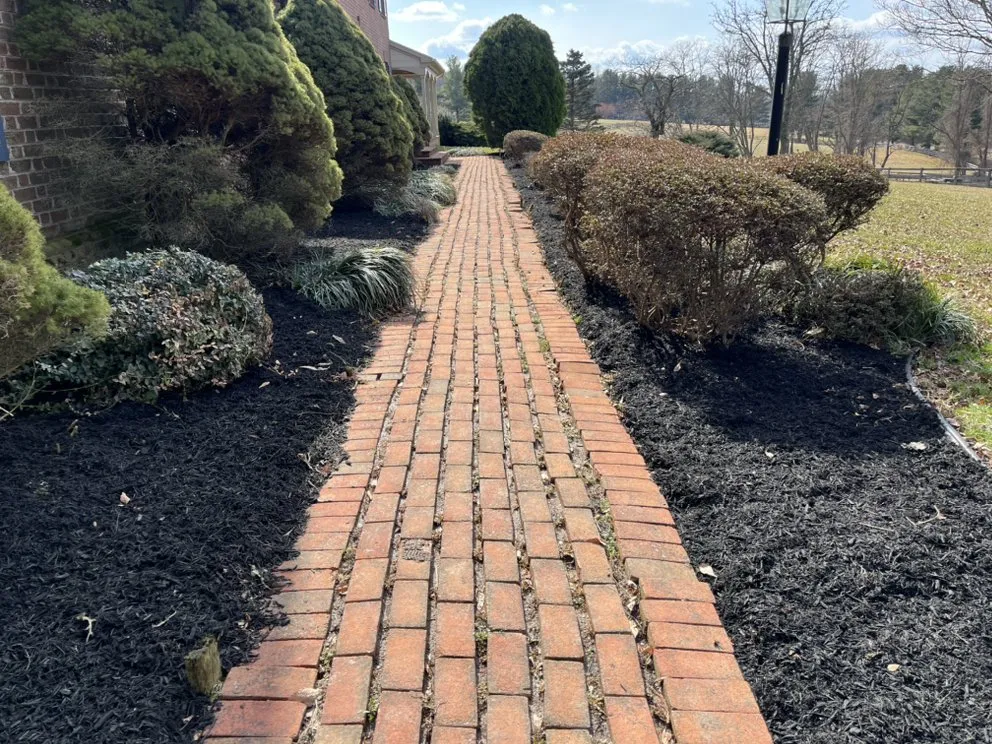 Top-rated residential landscaping in Bel Air, MD - King Landscape