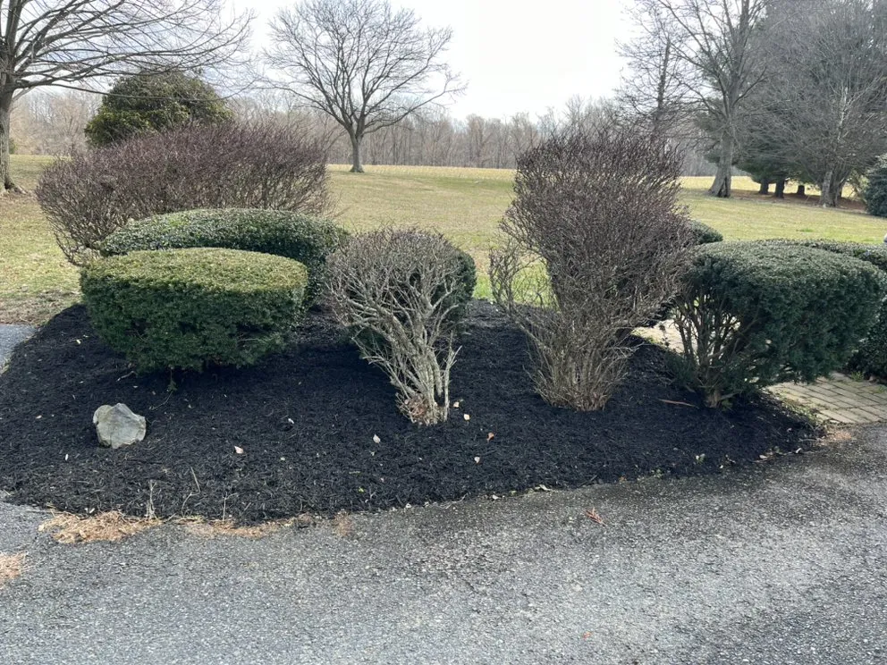 Top-rated residential landscaping for beautiful yards across Bel Air, MD - King Landscape