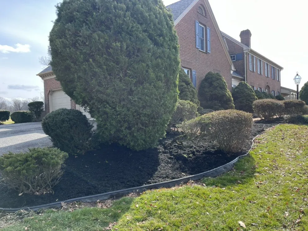 Expert lawn mowing service in Bel Air, MD by King Landscape