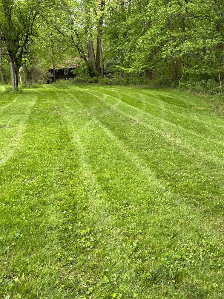 Affordable yard maintenance for homes in Bel Air, MD by King Landscape