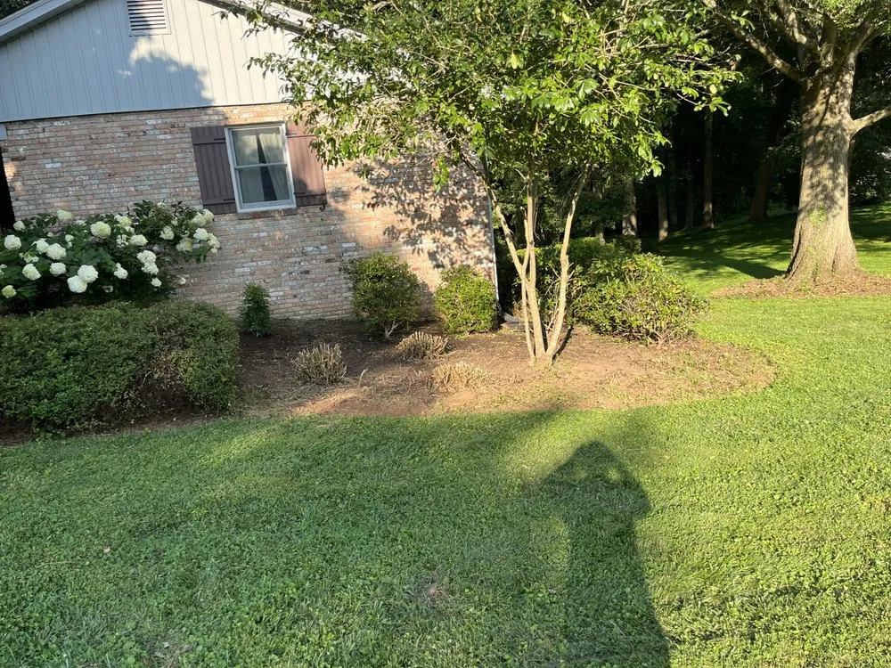 Affordable yard cleanup service experts serving Bel Air, MD - King Landscape