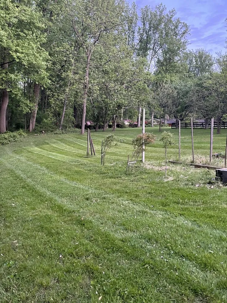 Custom outdoor landscaping for residential properties in Bel Air, MD by King Landscape