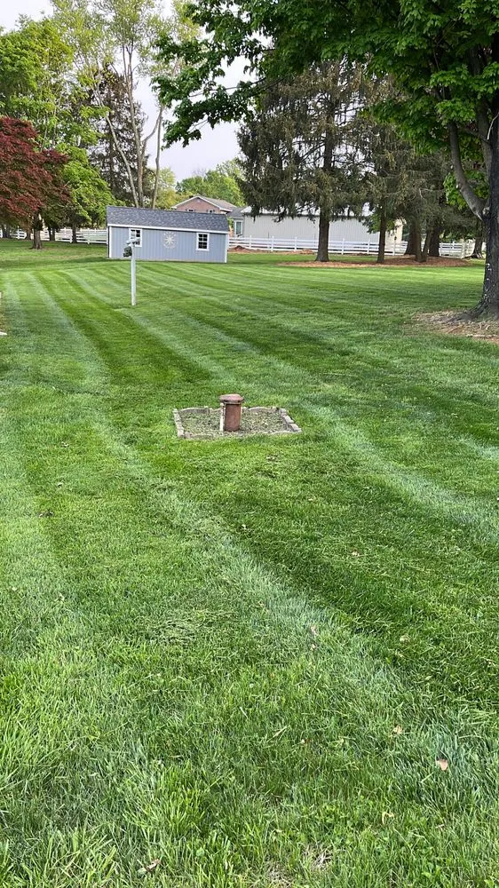 Expert residential landscaping with custom design across Bel Air, MD - King Landscape