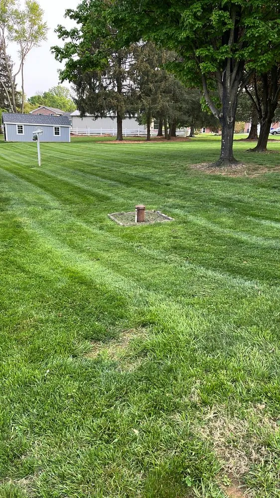 Reliable landscaping services in Bel Air, MD by King Landscape